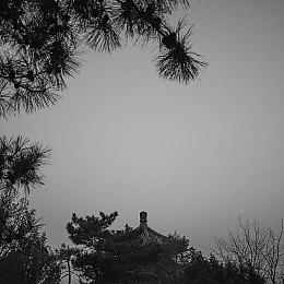 《植物大战僵尸3》国内版8月20日发售 本体免费